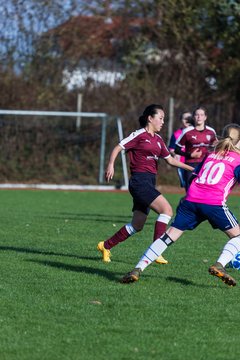 Bild 315 - B-Juniorinnen Halstenbek-Rellingen - Hamburger SV 2 : Ergebnis: 3:8